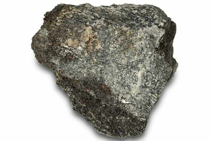 Fossil Dinosaur Bone Section - Bone Cabin Quarry, Wyoming #309251